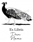 Preview: Bookplate stickers •Peacock•
